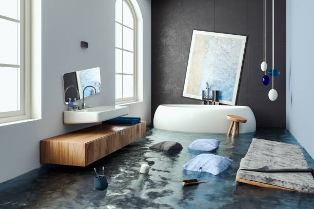 Best Water damage repair service  in Winner, SD