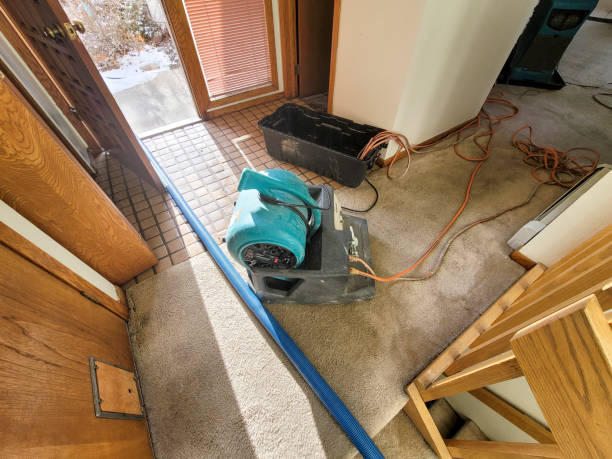 Best Water damage restoration near me  in Winner, SD