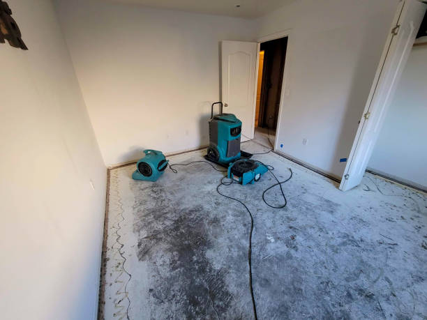 Best 24/7 water damage repair  in Winner, SD