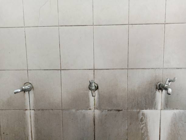 Best Flood restoration services  in Winner, SD