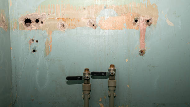 Best Sewage cleanup and water damage restoration  in Winner, SD