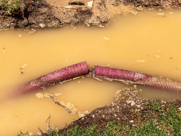 Best Water damage restoration insurance claims  in Winner, SD