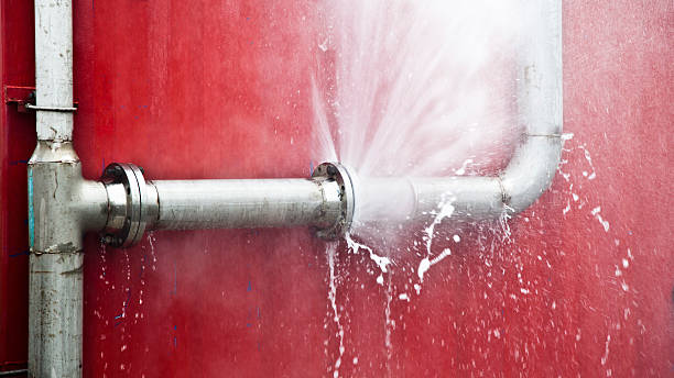 Best Water damage contractors near me  in Winner, SD